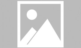 泉港新闻爆料最新消息,重大事件引发社会关注